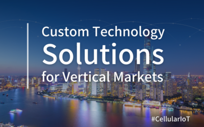 Custom Technology Solutions for Vertical Markets
